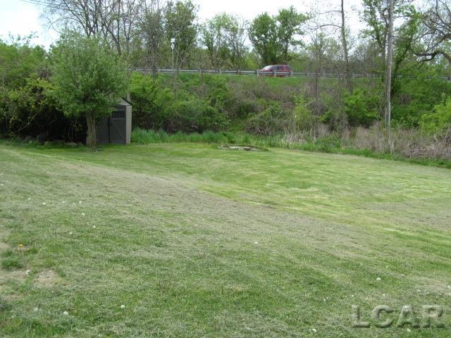 10320 Springville Hwy, Onsted, MI 49265 - view of green lawn
