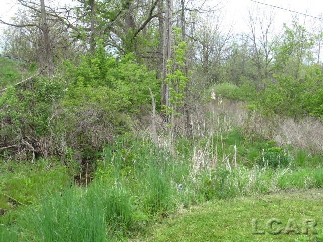 10320 Springville Hwy, Onsted, MI 49265 - view of local wilderness