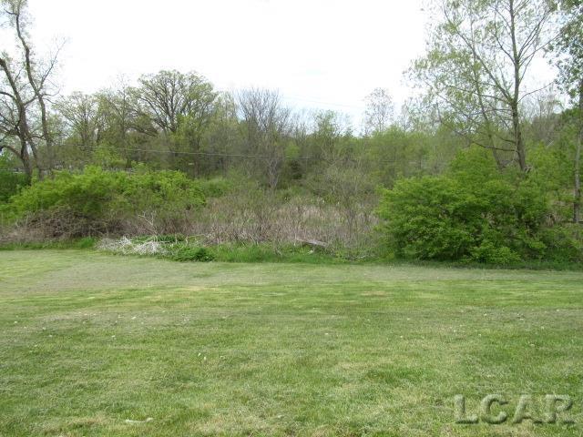 10320 Springville Hwy, Onsted, MI 49265 - view of green lawn