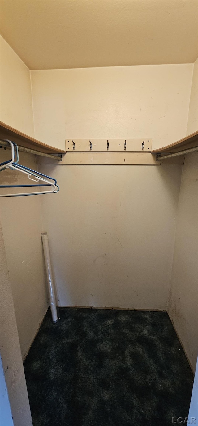 10320 Springville Hwy, Onsted, MI 49265 - view of walk in closet