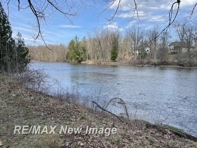 724 W Tobacco Ridge Trl, Beaverton, MI 48612 - water view featuring a forest