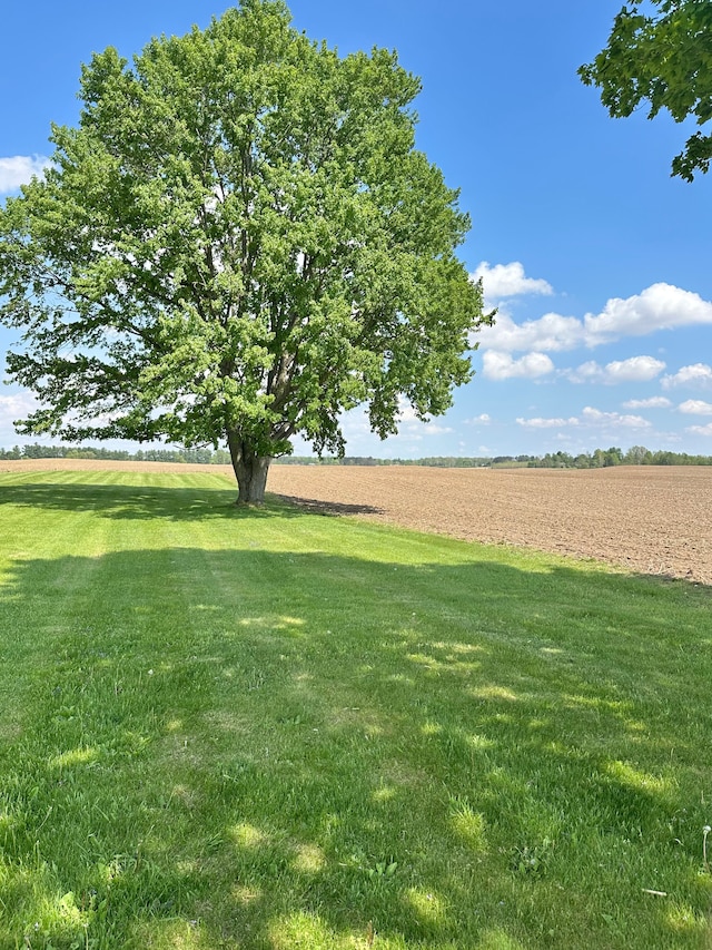 9548 Sharp Rd, Clifford, MI 48727 - view of green lawn