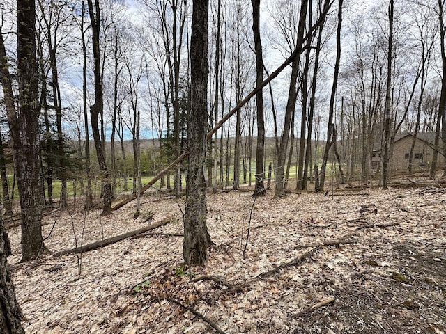 UNIT19 Forest Trl, Bellaire, MI 49615