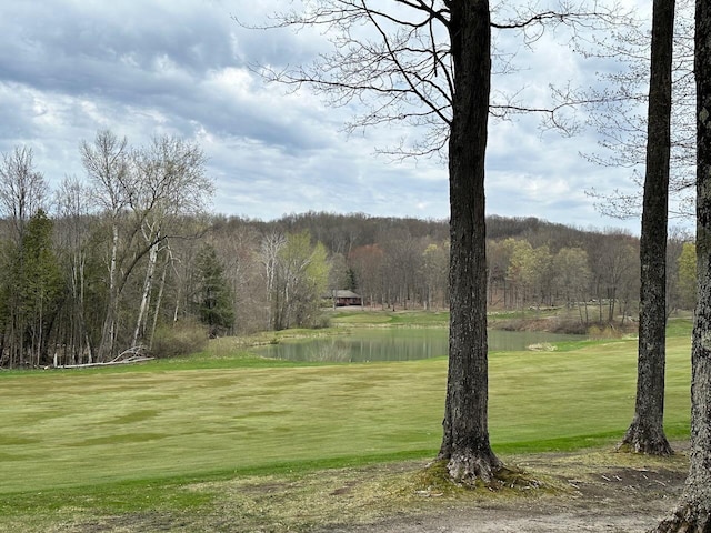 UNIT19 Forest Trl, Bellaire, MI 49615