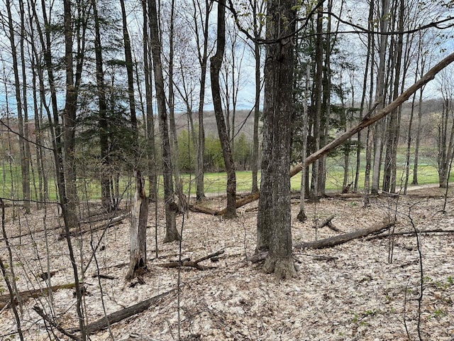 UNIT19 Forest Trl, Bellaire, MI 49615
