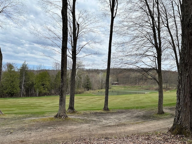 UNIT19 Forest Trl, Bellaire, MI 49615
