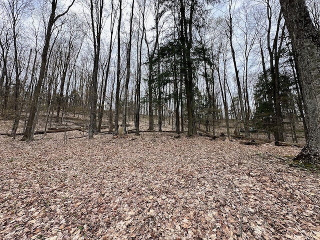UNIT19 Forest Trl, Bellaire, MI 49615
