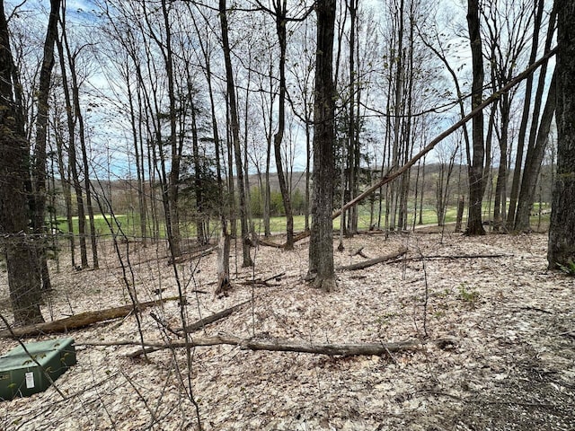 UNIT19 Forest Trl, Bellaire, MI 49615