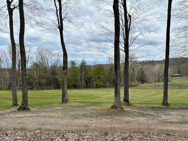 UNIT19 Forest Trl, Bellaire, MI 49615
