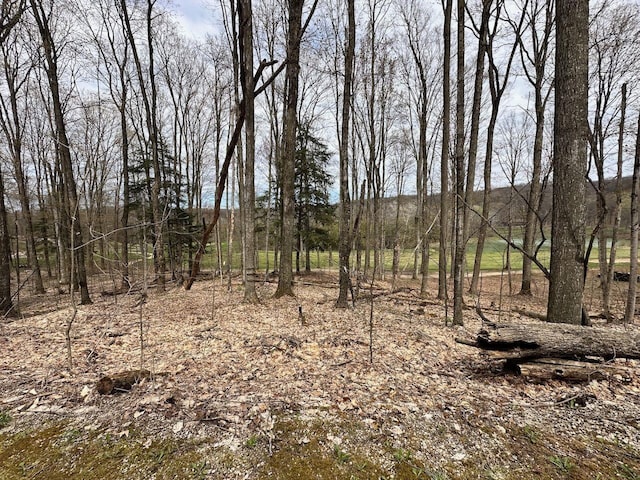 UNIT19 Forest Trl, Bellaire, MI 49615