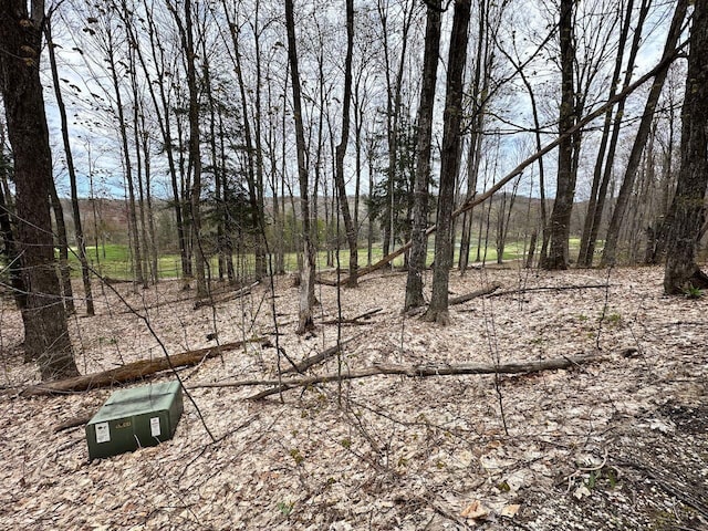 UNIT19 Forest Trl, Bellaire, MI 49615