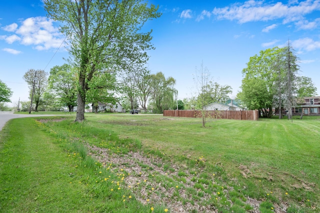 237 Main St, Walkerville, MI 49459 - view of yard