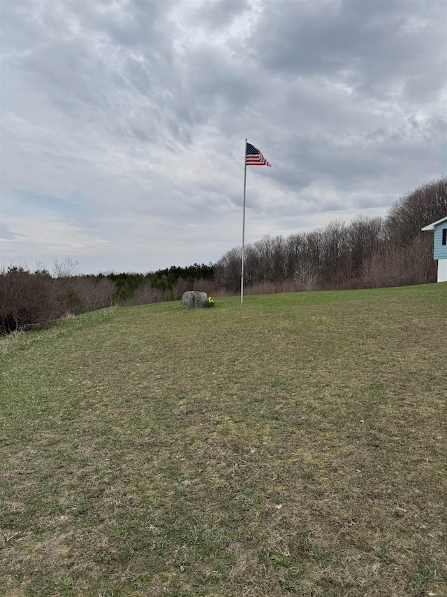 3135 Montgomery Rd, Bellaire, MI 49615 - view of green lawn
