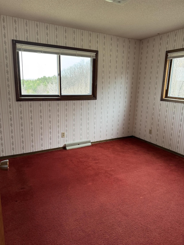 3135 Montgomery Rd, Bellaire, MI 49615 - carpeted spare room with a textured ceiling