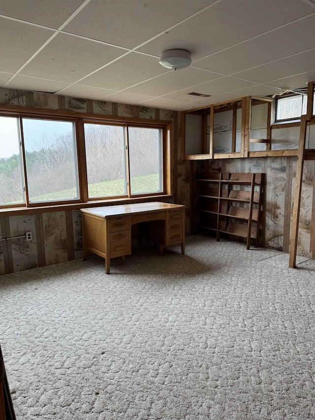 3135 Montgomery Rd, Bellaire, MI 49615 - unfurnished office featuring carpet floors and wood walls