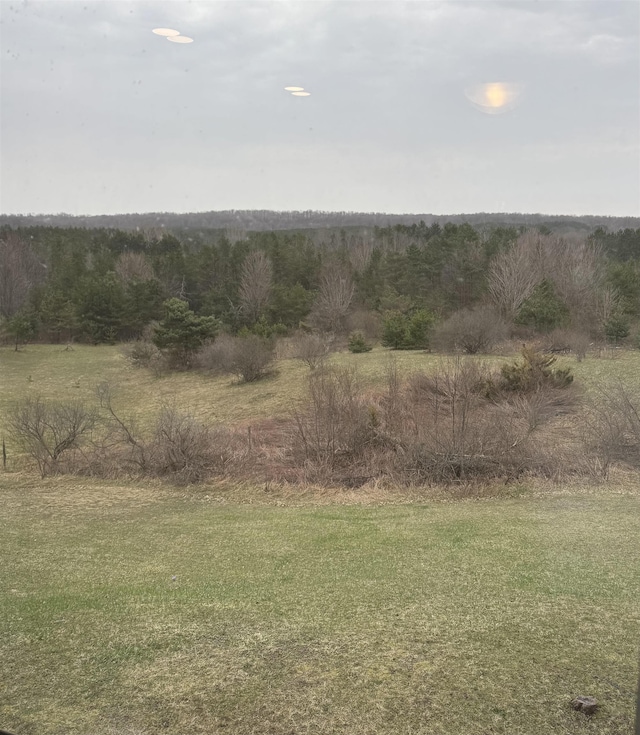 3135 Montgomery Rd, Bellaire, MI 49615 - view of yard