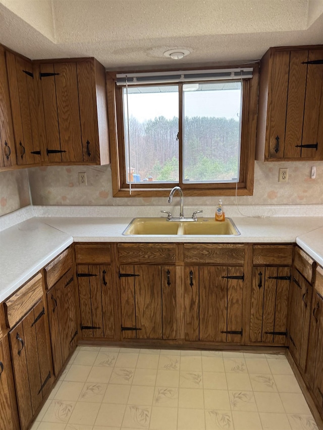 3135 Montgomery Rd, Bellaire, MI 49615 - kitchen with a sink, a textured ceiling, light countertops, and light flooring