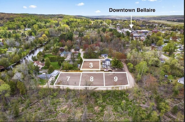 LOT3 Harbor St, Bellaire, MI 49615 - photo 16