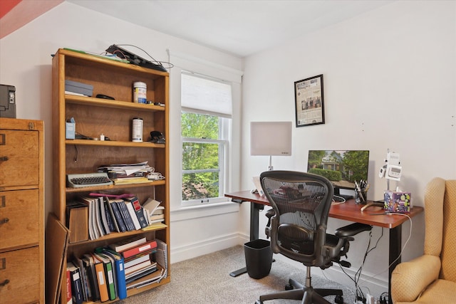 314 W Madison St, Ann Arbor, MI 48103 - office space with carpet and baseboards