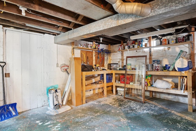 314 W Madison St, Ann Arbor, MI 48103 - view of unfinished below grade area