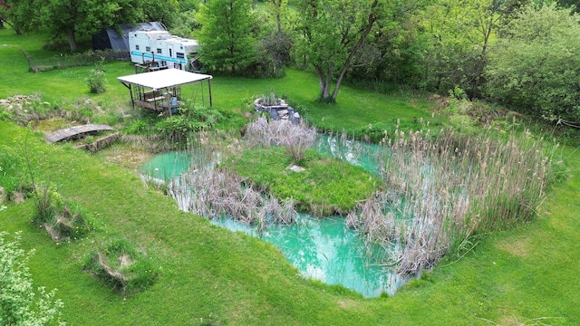 drone / aerial view of a garden pond