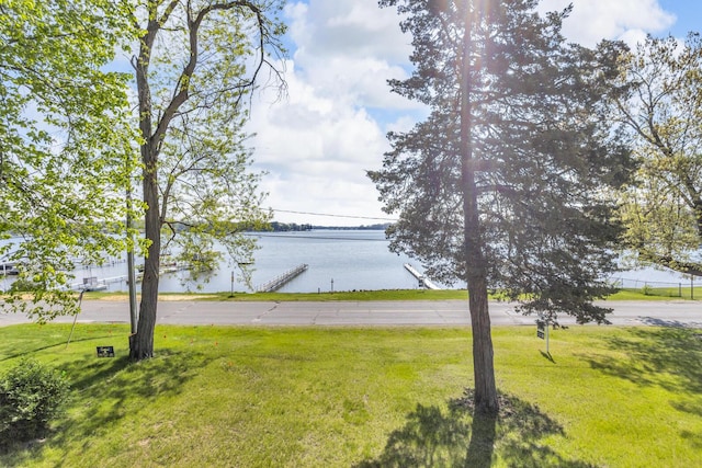 150 Hyde Rd, Clarklake, MI 49234 - photo 38