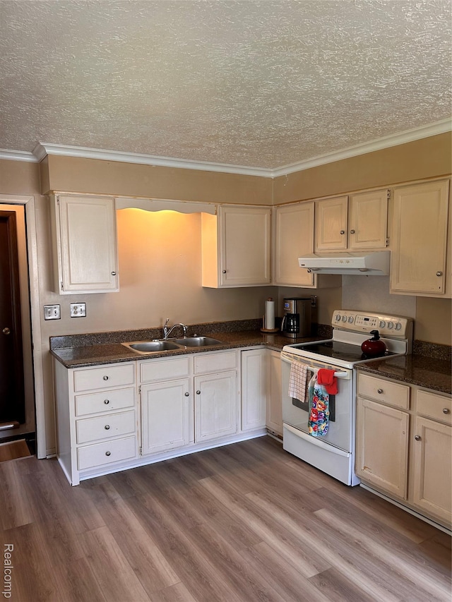 809 Isbell St, Howell, MI 48843 - kitchen with white range with electric stovetop, a sink, crown molding, a textured ceiling, and under cabinet range hood