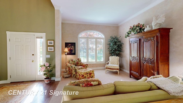 entrance foyer featuring baseboards, ornamental molding, and wood finished floors