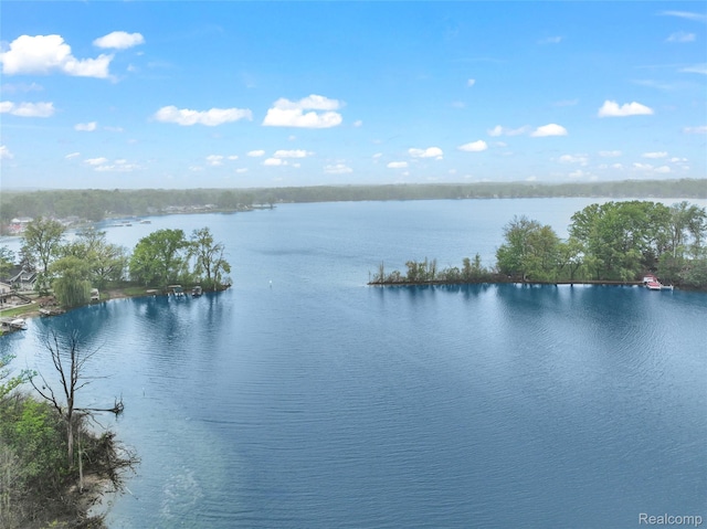 8844 Riverside Dr, Brighton, MI 48116 - water view