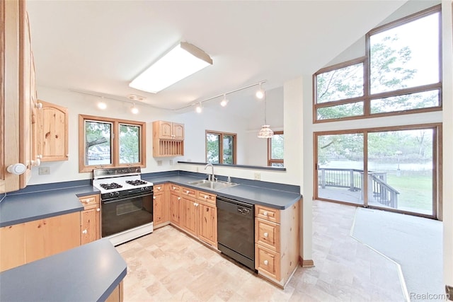 8844 Riverside Dr, Brighton, MI 48116 - kitchen featuring black dishwasher, range with gas cooktop, light brown cabinetry, and track lighting