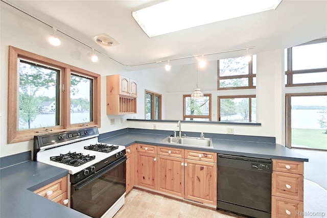 8844 Riverside Dr, Brighton, MI 48116 - kitchen with dishwasher, gas range, track lighting, and a sink