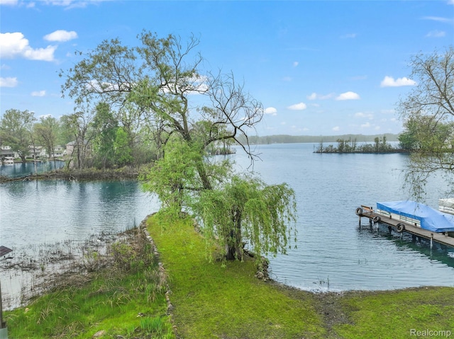 8844 Riverside Dr, Brighton, MI 48116 - dock featuring a water view