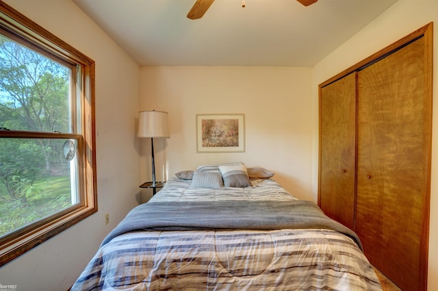 3641 Timber Ridge Dr, Metamora, MI 48455 - bedroom featuring multiple windows, a closet, and ceiling fan