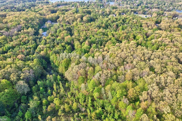3641 Timber Ridge Dr, Metamora, MI 48455 - view of property location with a heavily wooded area