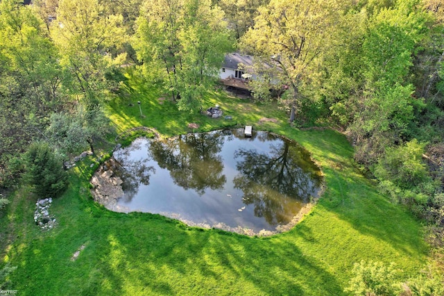 3641 Timber Ridge Dr, Metamora, MI 48455 - aerial view of property and surrounding area featuring a nearby body of water and a heavily wooded area