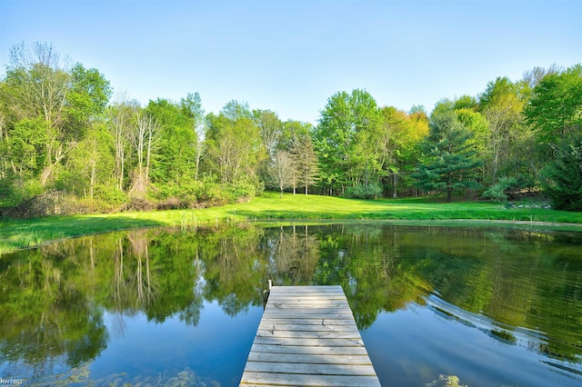 3641 Timber Ridge Dr, Metamora, MI 48455 - dock with a water view and a view of trees