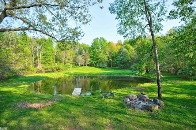 3641 Timber Ridge Dr, Metamora, MI 48455 - view of grassy yard featuring a water view, a forest view, and a boat dock