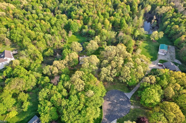 3641 Timber Ridge Dr, Metamora, MI 48455 - view of property location