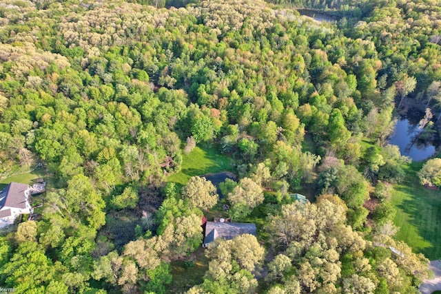 3641 Timber Ridge Dr, Metamora, MI 48455 - aerial overview of property's location featuring a forest and a nearby body of water