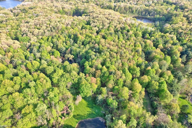 3641 Timber Ridge Dr, Metamora, MI 48455 - aerial overview of property's location with a heavily wooded area and a large body of water