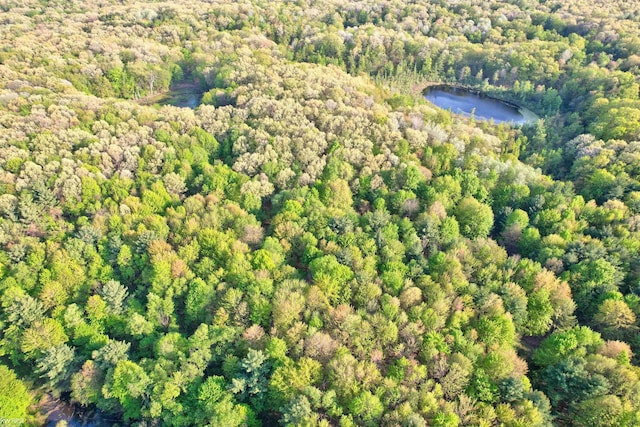 3641 Timber Ridge Dr, Metamora, MI 48455 - aerial overview of property's location featuring a heavily wooded area