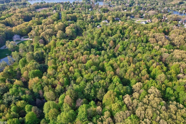 3641 Timber Ridge Dr, Metamora, MI 48455 - aerial view of property's location featuring a forest and a large body of water