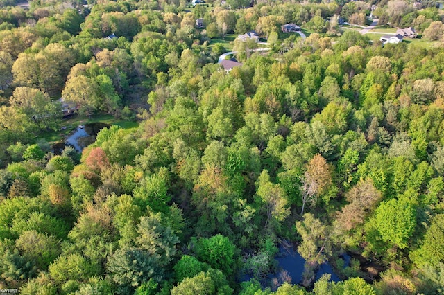 3641 Timber Ridge Dr, Metamora, MI 48455 - aerial view of property's location featuring a large body of water and a forest