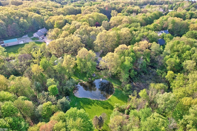 3641 Timber Ridge Dr, Metamora, MI 48455 - aerial view of a forest and a large body of water