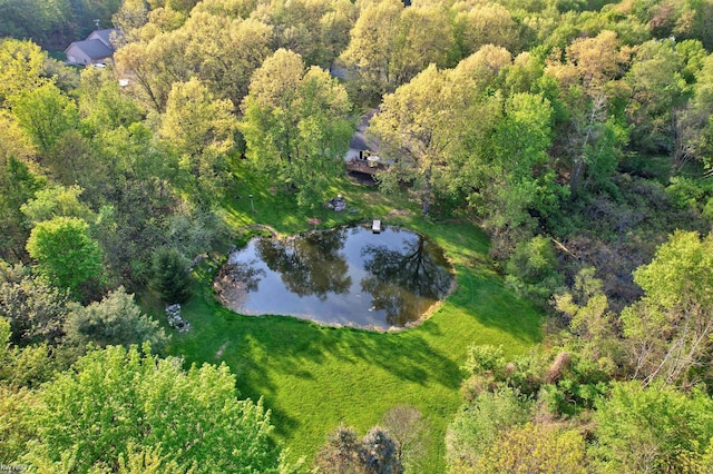 3641 Timber Ridge Dr, Metamora, MI 48455 - bird's eye view of a large body of water and a heavily wooded area