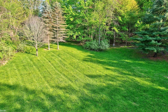 3641 Timber Ridge Dr, Metamora, MI 48455 - view of green lawn