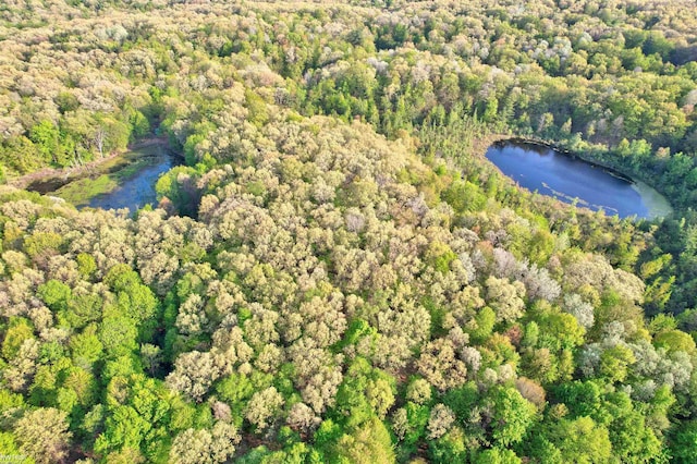 3641 Timber Ridge Dr, Metamora, MI 48455 - drone / aerial view of a heavily wooded area and a nearby body of water