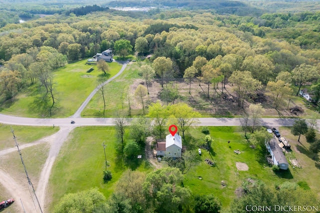 3188 E Stage Rd, Ionia, MI 48846 - aerial view of a heavily wooded area