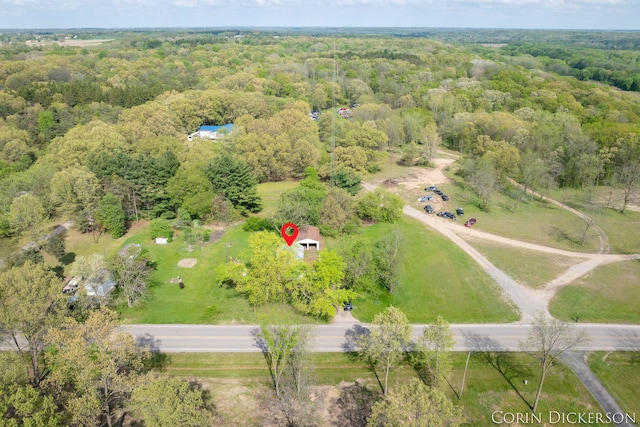 3188 E Stage Rd, Ionia, MI 48846 - aerial view of a heavily wooded area