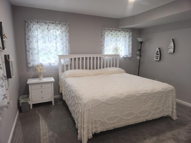 1788 W Beaver Rd, Bitely, MI 49309 - bedroom featuring dark colored carpet and baseboards